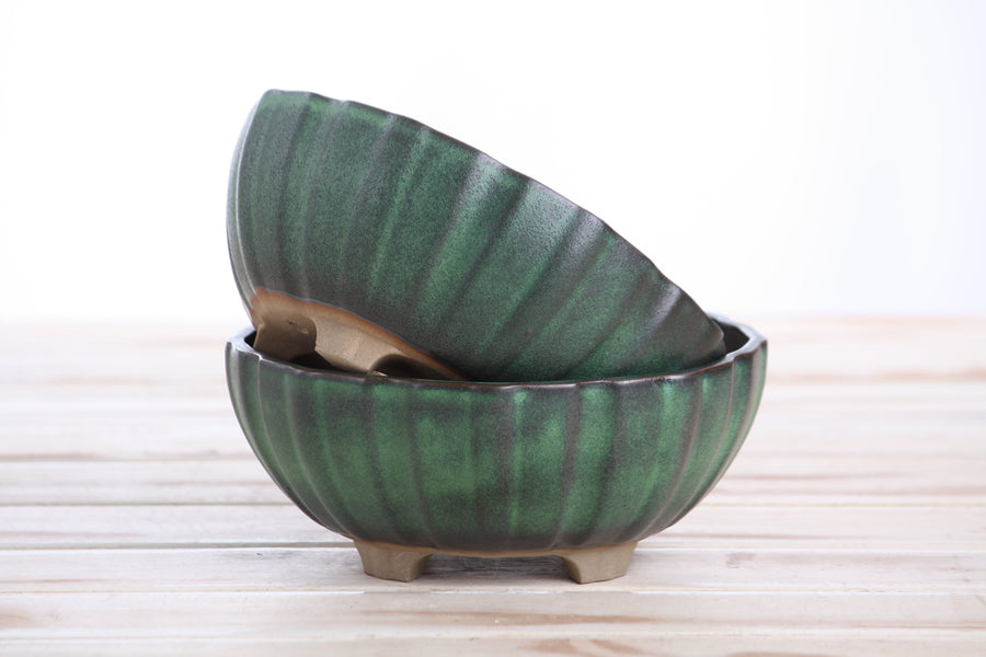 6-Inch Lily Bonsai Pot - Avocado