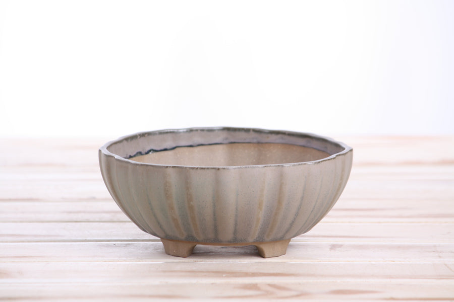 6-Inch Lily Bonsai Pot - Ocean