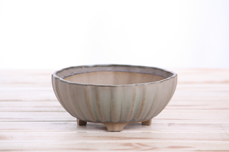 6-Inch Lily Bonsai Pot - Ocean