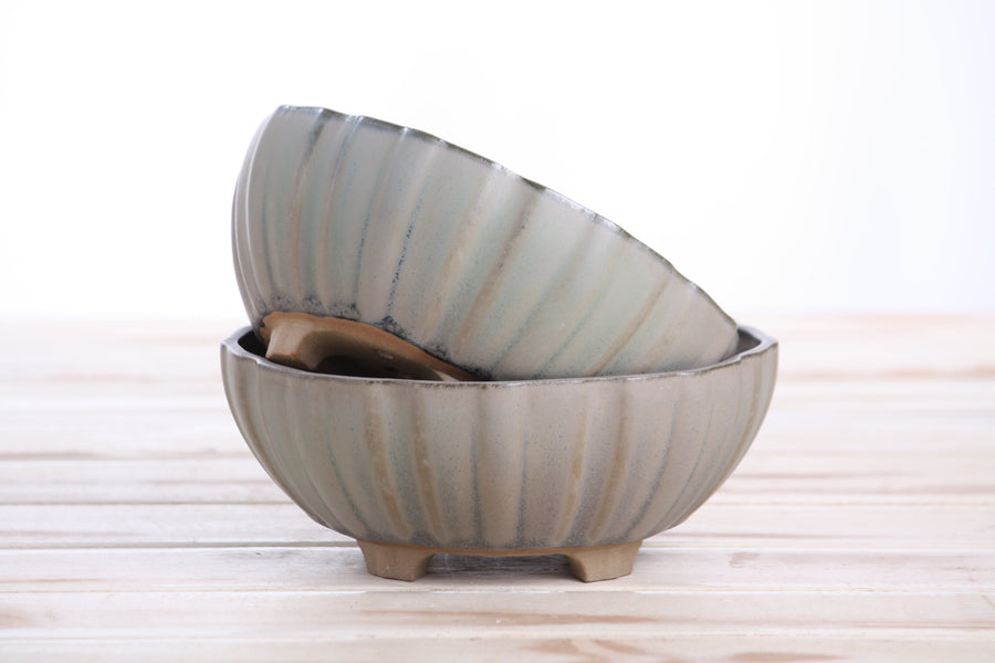 6-Inch Lily Bonsai Pot - Ocean