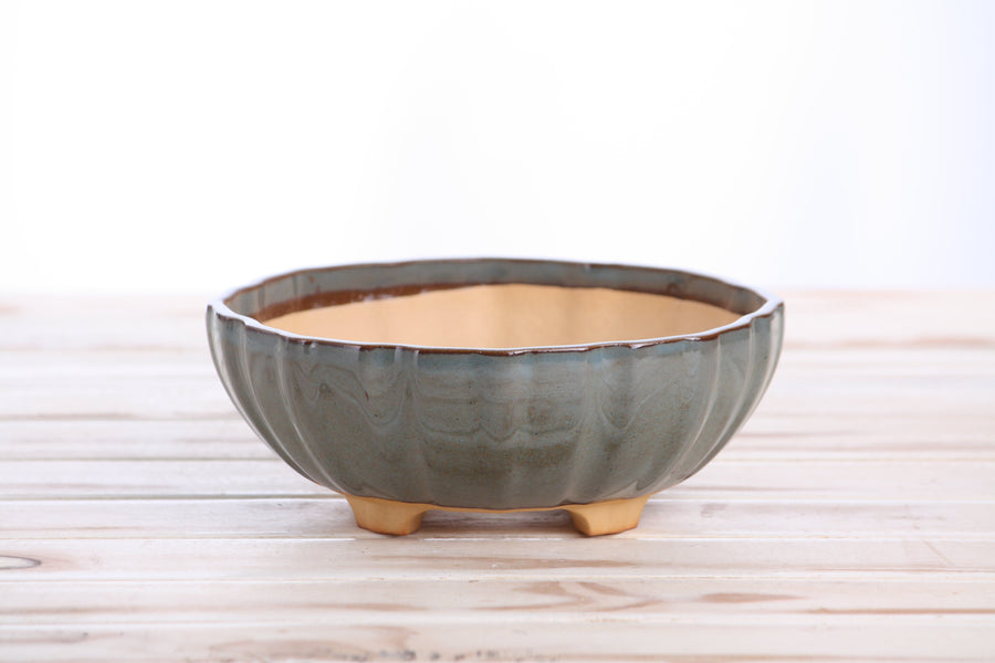 7-Inch Lily Bonsai Pot - Starry Night
