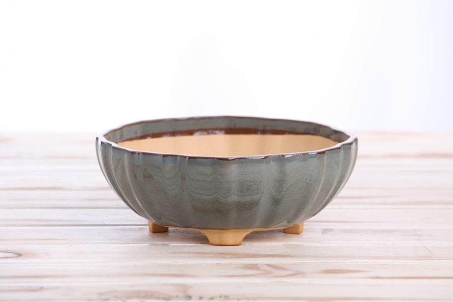 7-Inch Lily Bonsai Pot - Starry Night