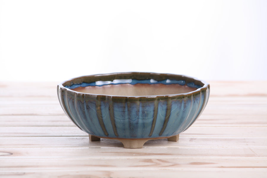 7-Inch Lily Bonsai Pot - Peacock 2025