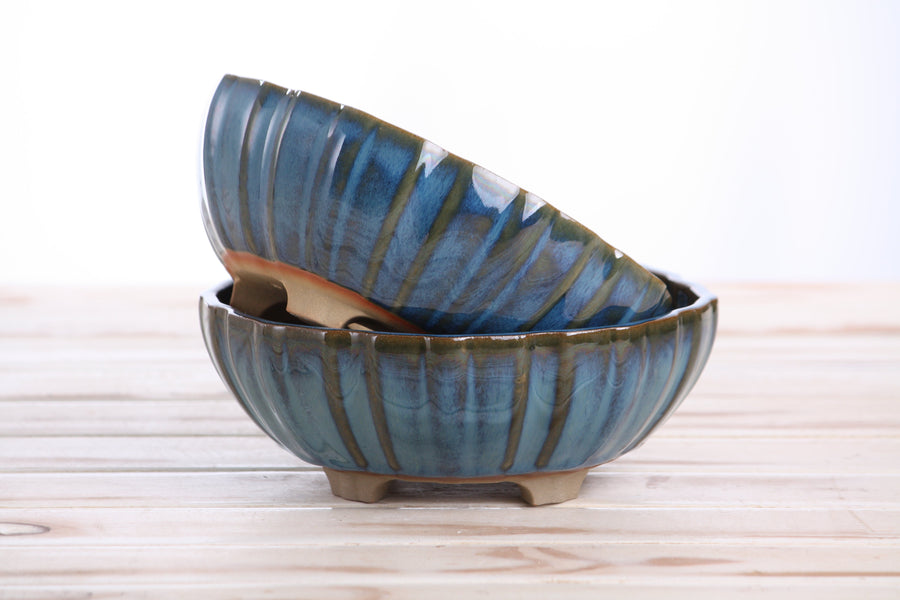 7-Inch Lily Bonsai Pot - Peacock 2025