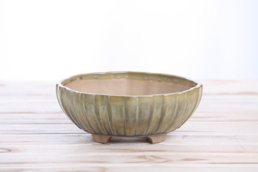 7-Inch Lily Bonsai Pot - Copenhagen
