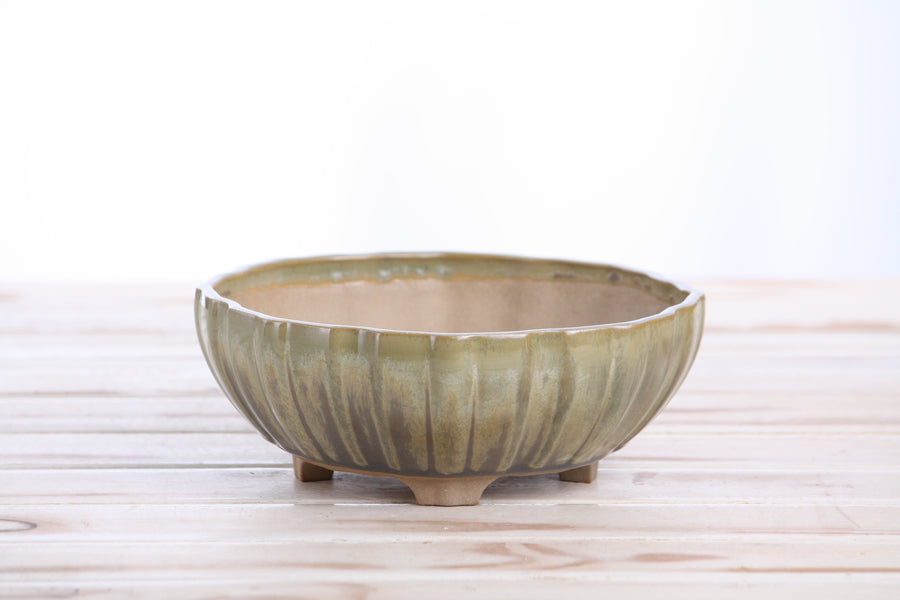 7-Inch Lily Bonsai Pot - Copenhagen