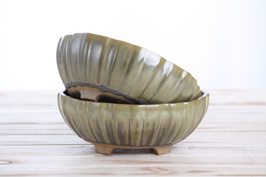 7-Inch Lily Bonsai Pot - Copenhagen