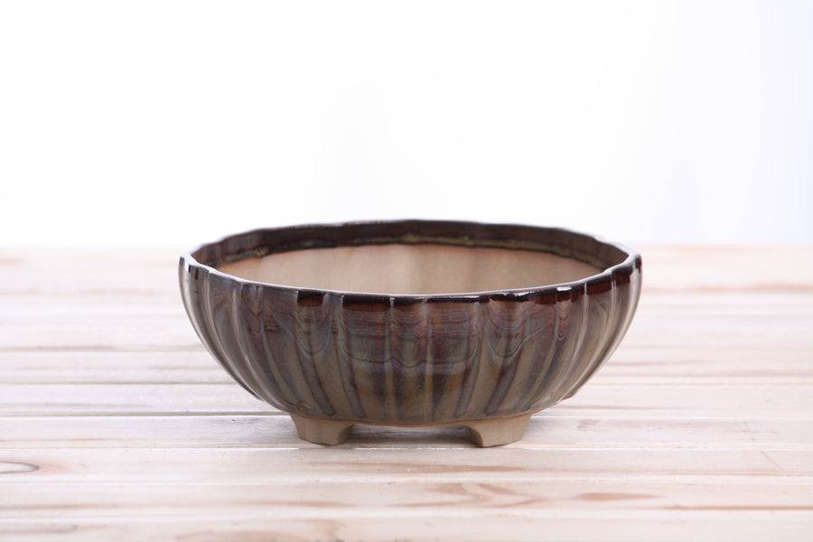 7-Inch Lily Bonsai Pot - Dark Honey