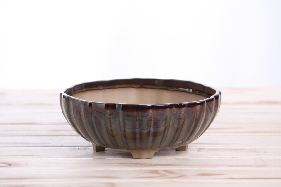 7-Inch Lily Bonsai Pot - Dark Honey