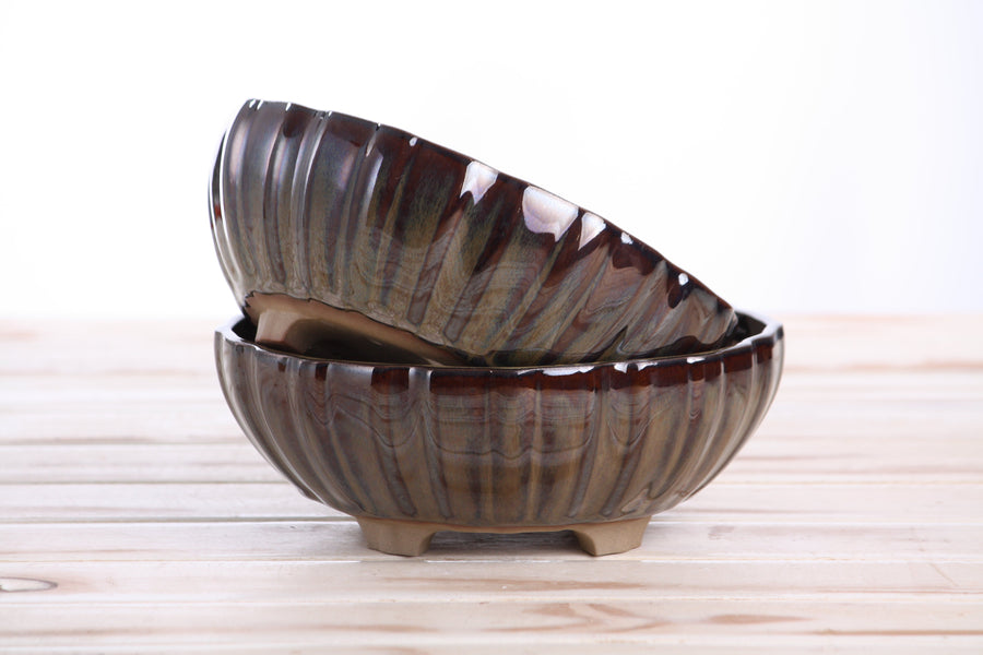 7-Inch Lily Bonsai Pot - Dark Honey