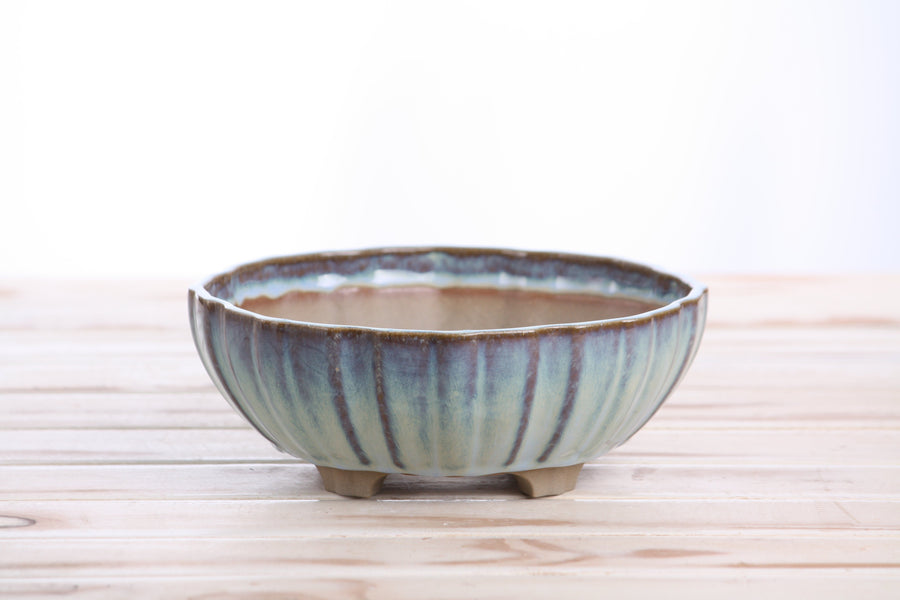 7-Inch Lily Bonsai Pot - Glacier