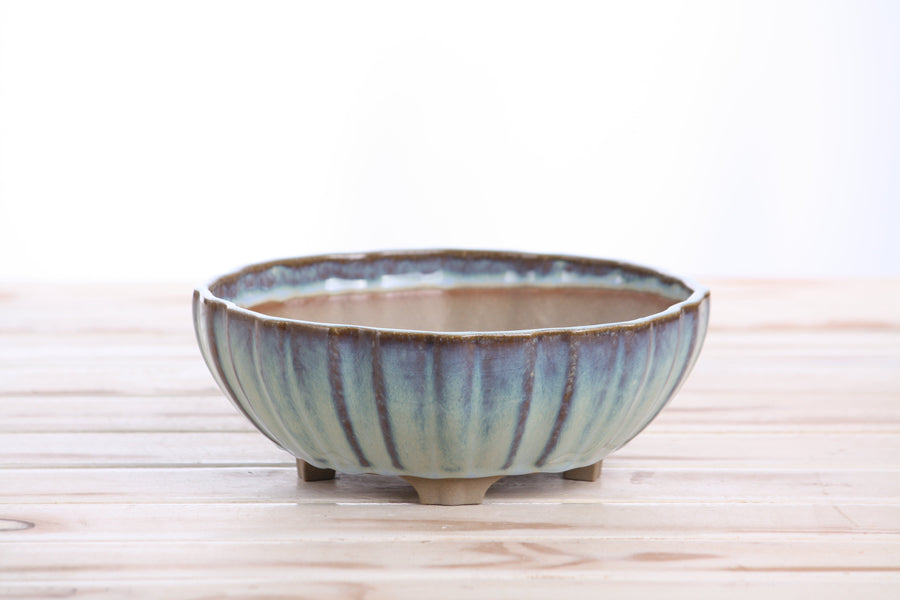 7-Inch Lily Bonsai Pot - Glacier