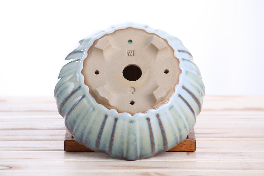 7-Inch Lily Bonsai Pot - Glacier