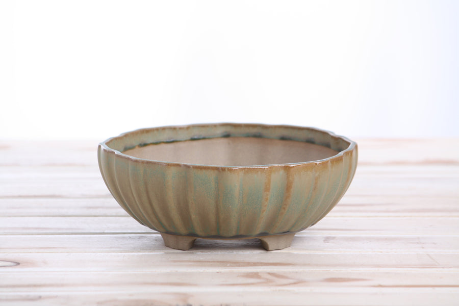 7-Inch Lily Bonsai Pot - Speckled Moss