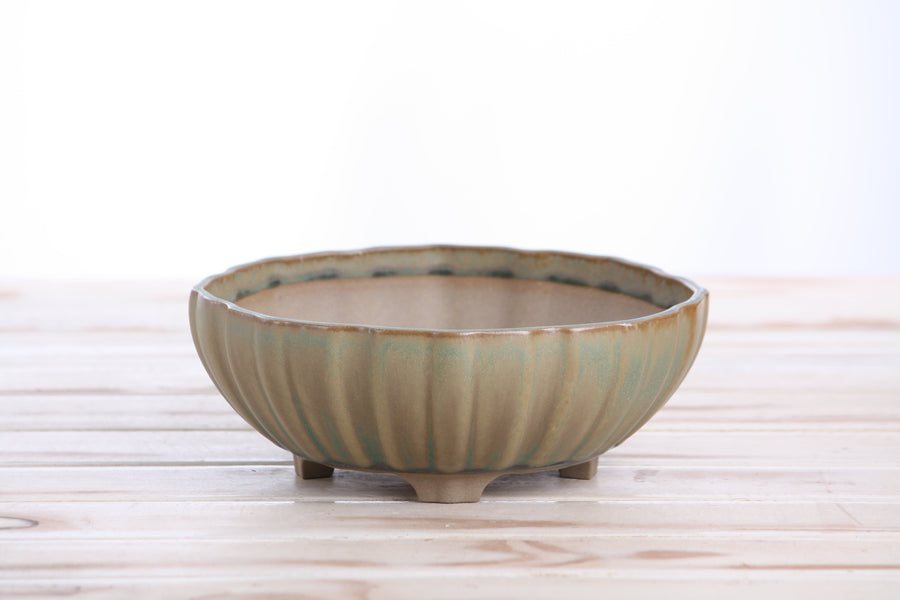 7-Inch Lily Bonsai Pot - Speckled Moss