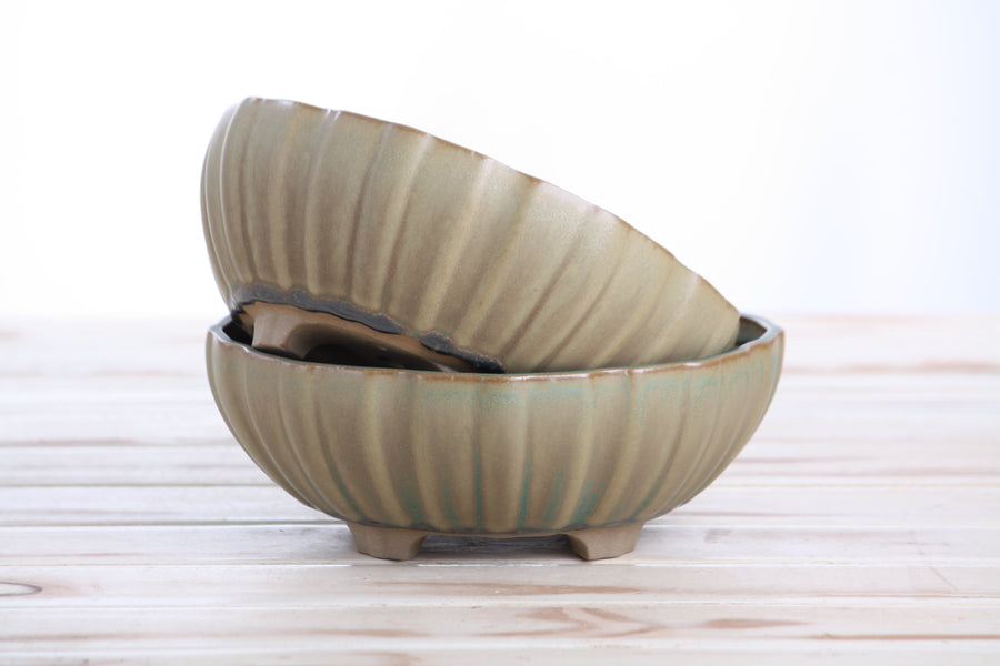 7-Inch Lily Bonsai Pot - Speckled Moss