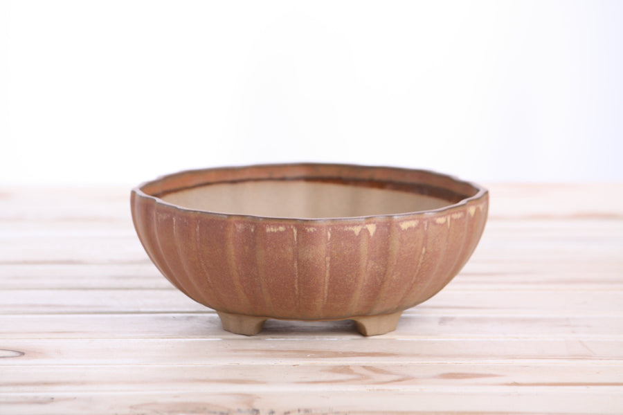 7-Inch Lily Bonsai Pot - Deep Stone