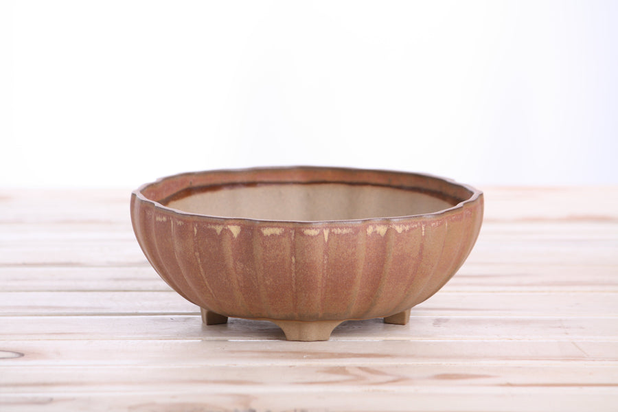 7-Inch Lily Bonsai Pot - Deep Stone