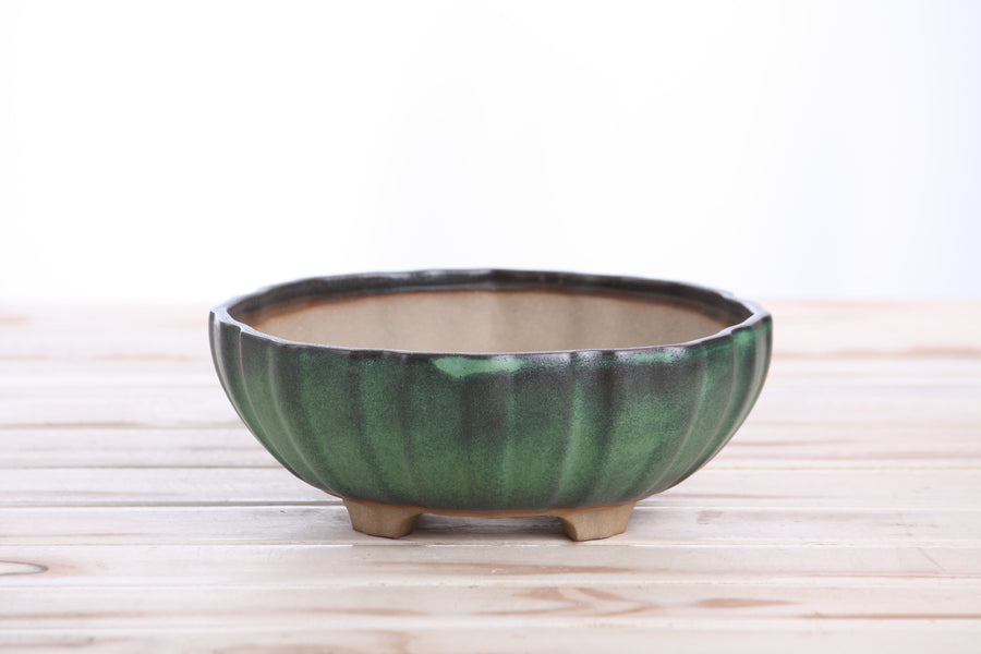 7-Inch Lily Bonsai Pot - Avocado