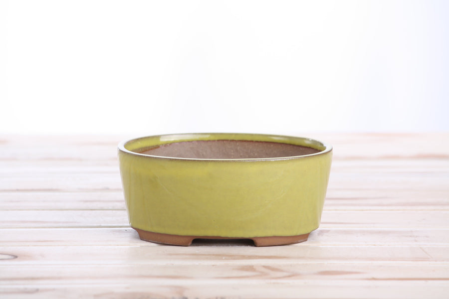 6-Inch Oval A Bonsai Pot - Yellow