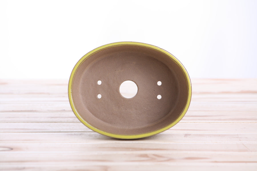 6-Inch Oval A Bonsai Pot - Yellow