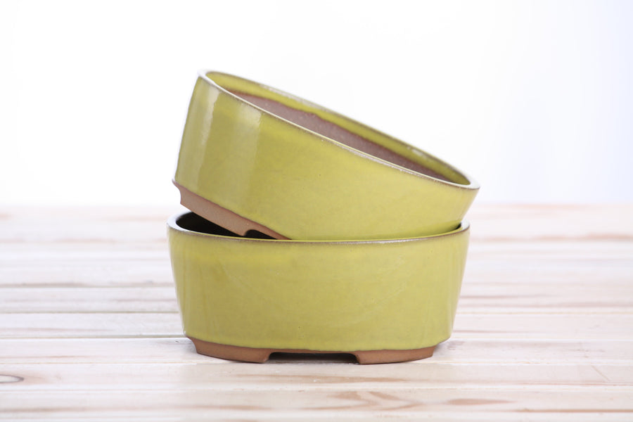 6-Inch Oval A Bonsai Pot - Yellow
