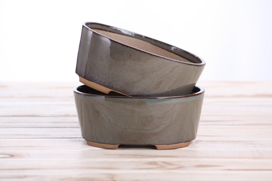 6-Inch Oval A Bonsai Pot - Starry Night