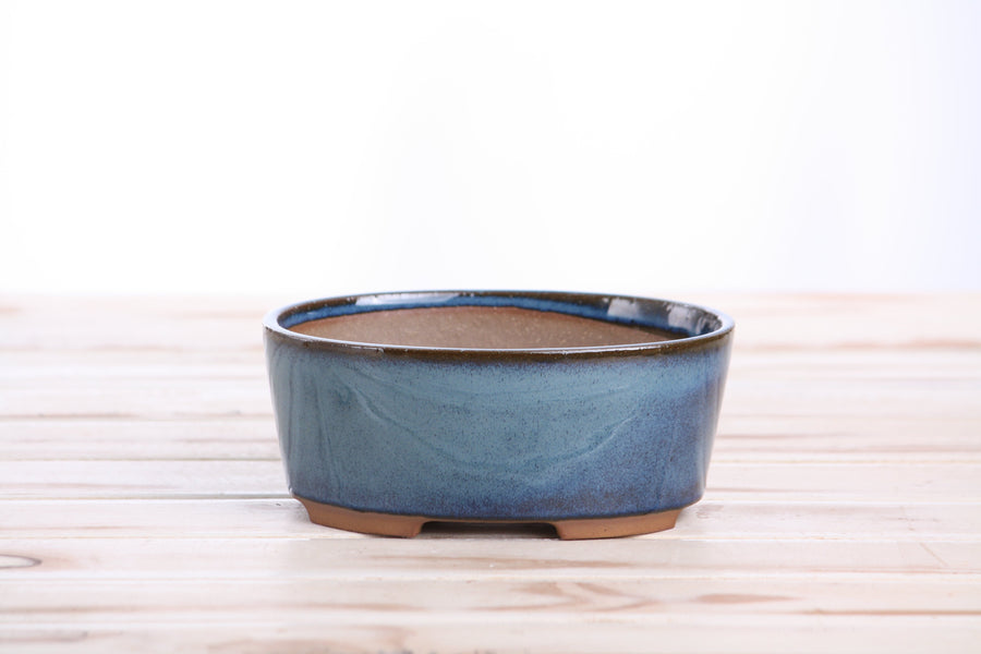 6-Inch Oval A Bonsai Pot - Peacock 2025