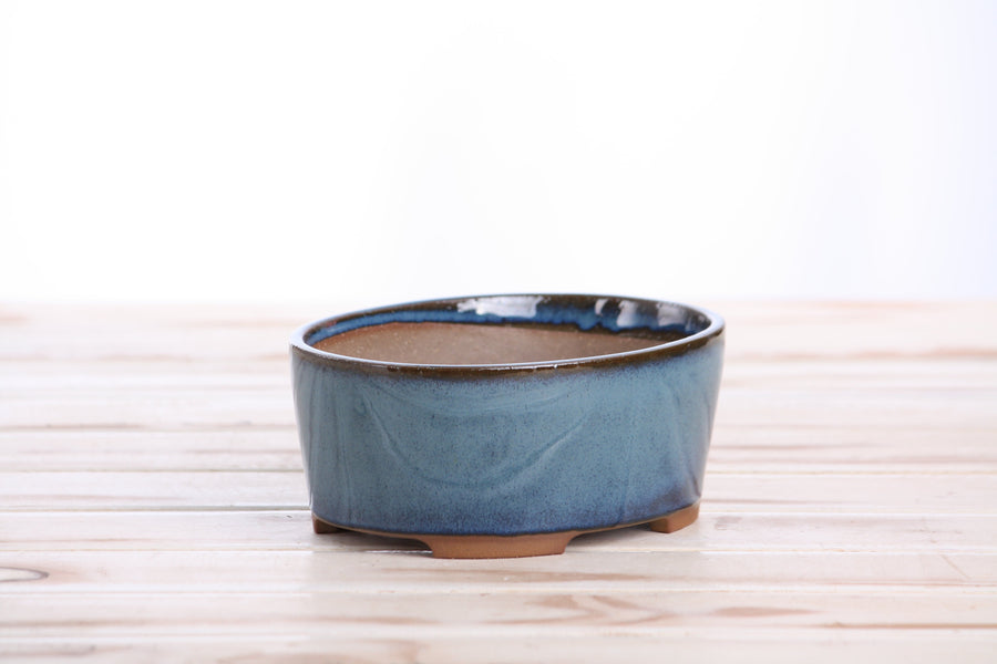 6-Inch Oval A Bonsai Pot - Peacock 2025