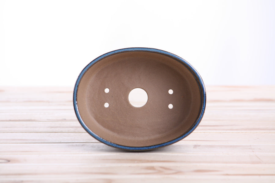 6-Inch Oval A Bonsai Pot - Peacock 2025