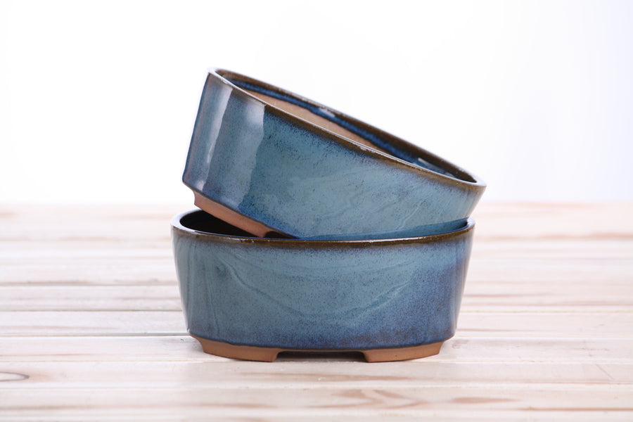 6-Inch Oval A Bonsai Pot - Peacock 2025