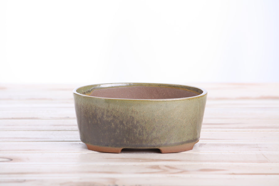 6-Inch Oval A Bonsai Pot - Copenhagen