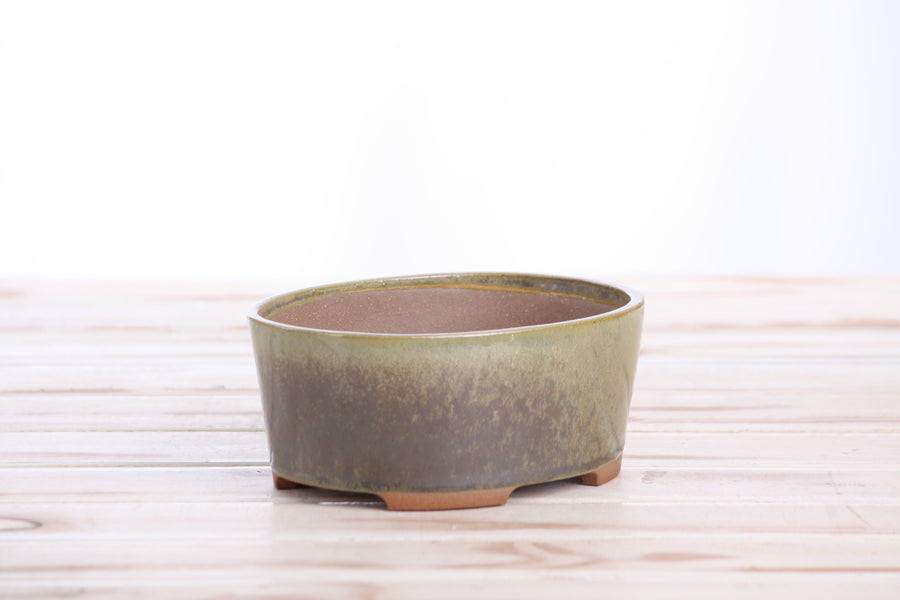 6-Inch Oval A Bonsai Pot - Copenhagen