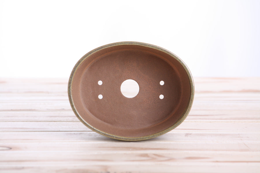 6-Inch Oval A Bonsai Pot - Copenhagen