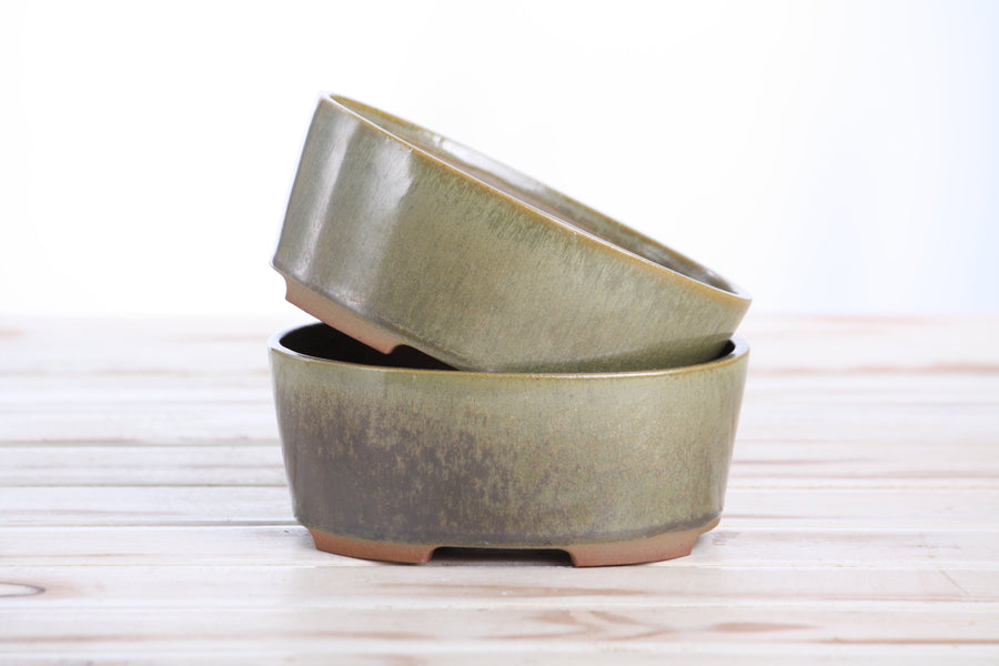 6-Inch Oval A Bonsai Pot - Copenhagen