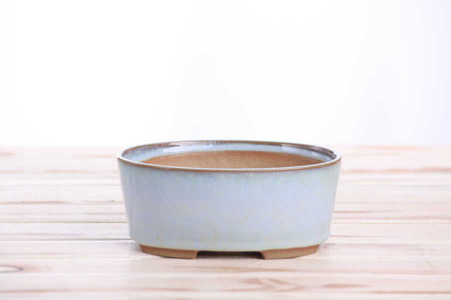 6-Inch Oval A Bonsai Pot - Glacier