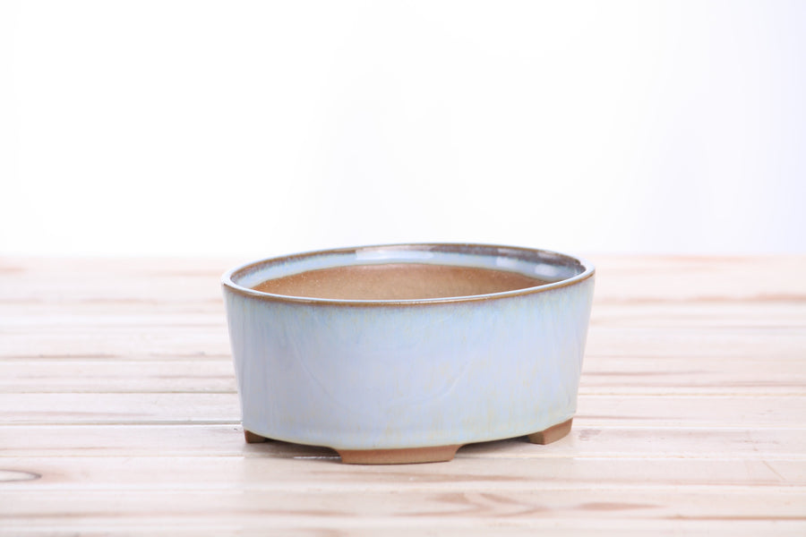 6-Inch Oval A Bonsai Pot - Glacier