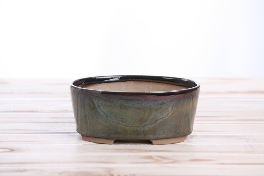 6-Inch Oval A Bonsai Pot - Dark Honey