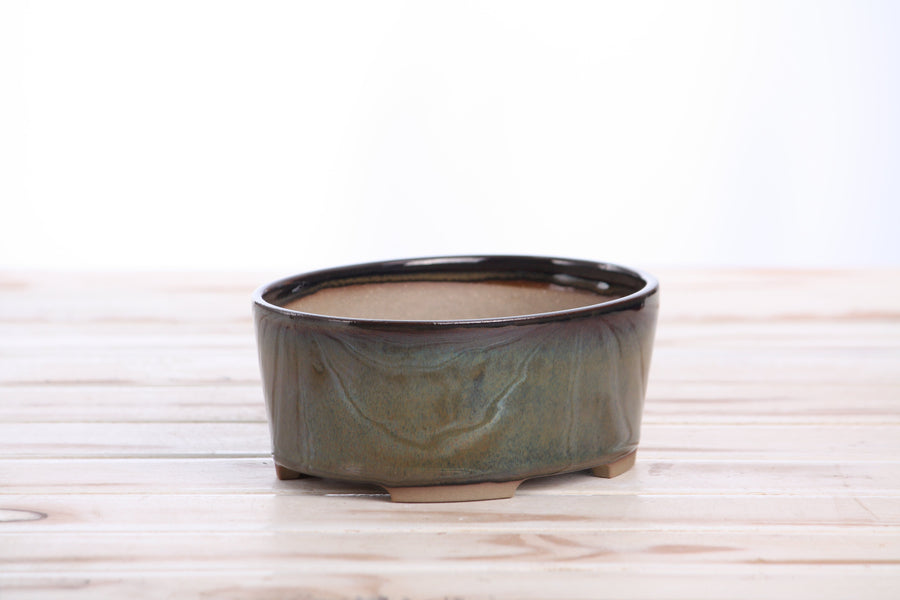 6-Inch Oval A Bonsai Pot - Dark Honey