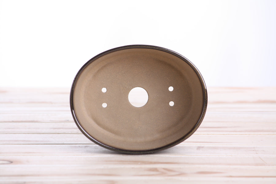 6-Inch Oval A Bonsai Pot - Dark Honey