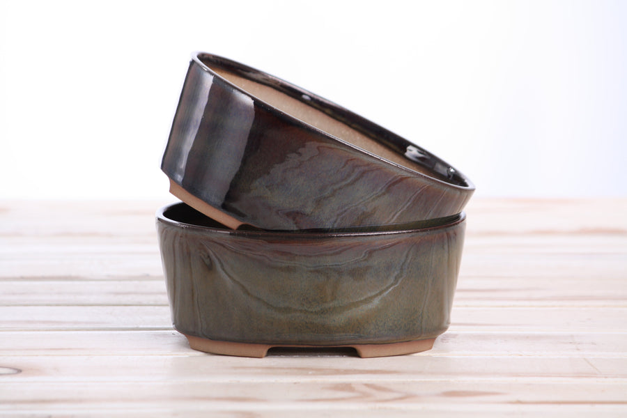 6-Inch Oval A Bonsai Pot - Dark Honey