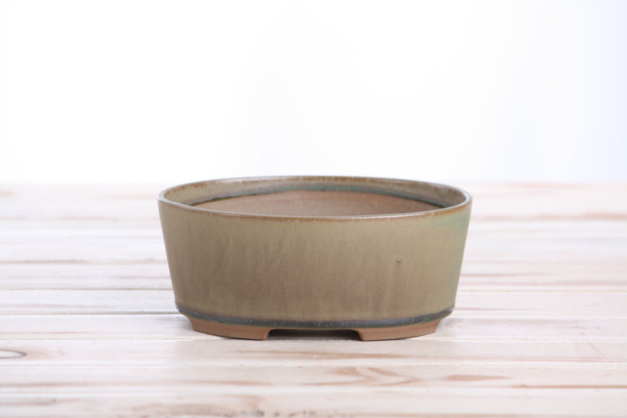 6-Inch Oval A Bonsai Pot - Speckled Moss