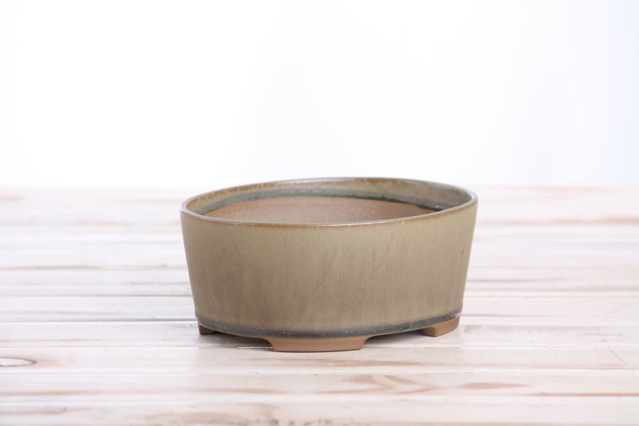 6-Inch Oval A Bonsai Pot - Speckled Moss