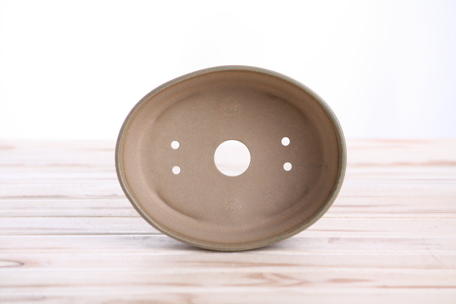 6-Inch Oval A Bonsai Pot - Speckled Moss