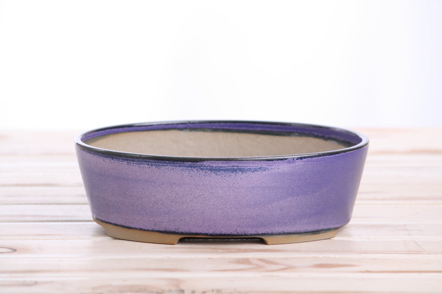 8-Inch Oval A Bonsai Pot - Purple
