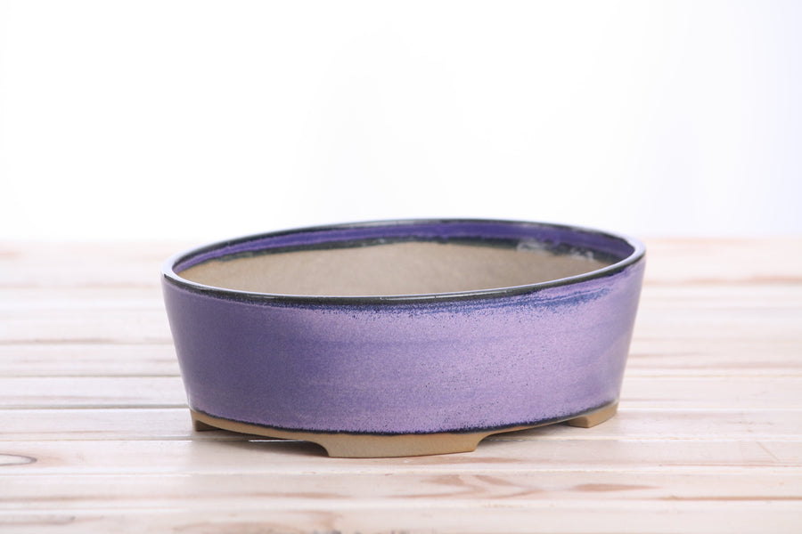 8-Inch Oval A Bonsai Pot - Purple