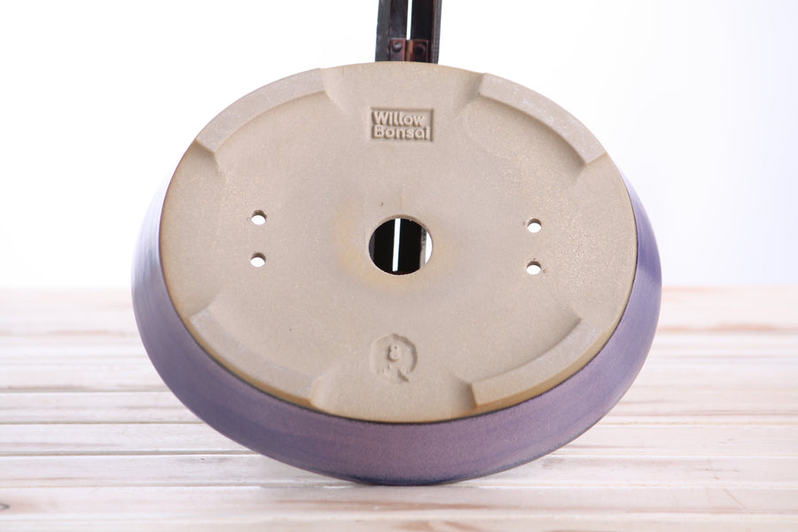 8-Inch Oval A Bonsai Pot - Purple