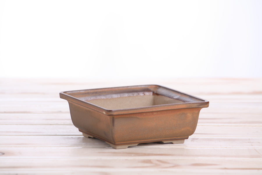 5-Inch Square Bonsai Pot - Deep Stone