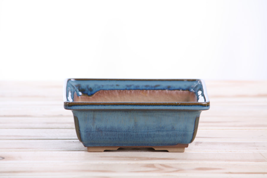 6-Inch Square Bonsai Pot - Peacock 2025