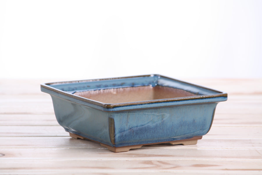 6-Inch Square Bonsai Pot - Peacock 2025